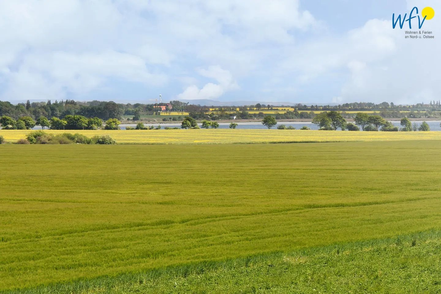 Ferienhaus am Gutspark Dranske Ferienwohnung Strandroggen Rügen - Dranske -