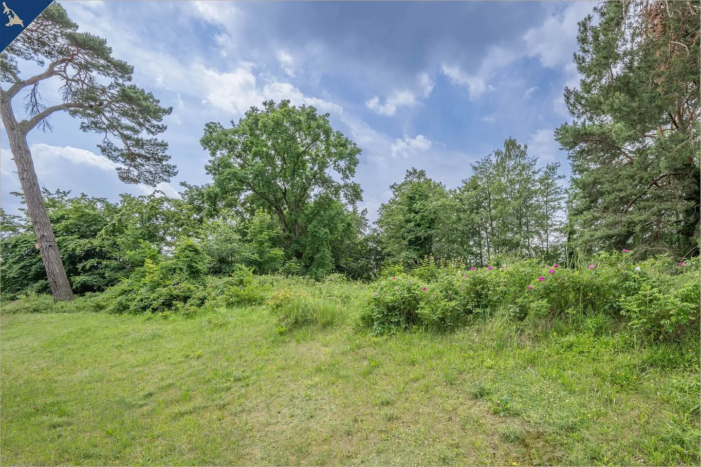 Ferienwohnung Lieblingseck Ostseebad Heringsdorf - Ferienwohnung Lieblingseck