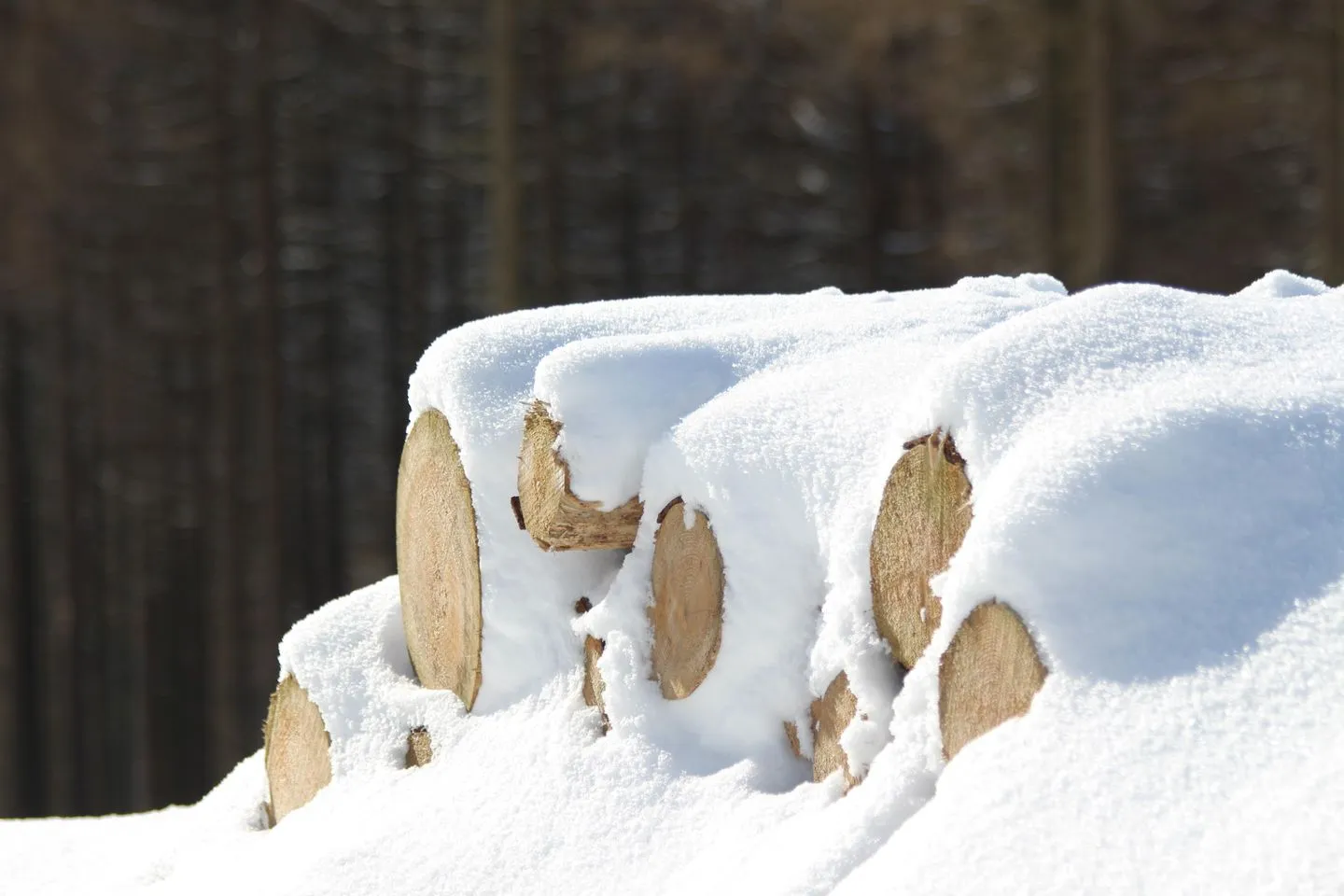 Talstation Braunlage -