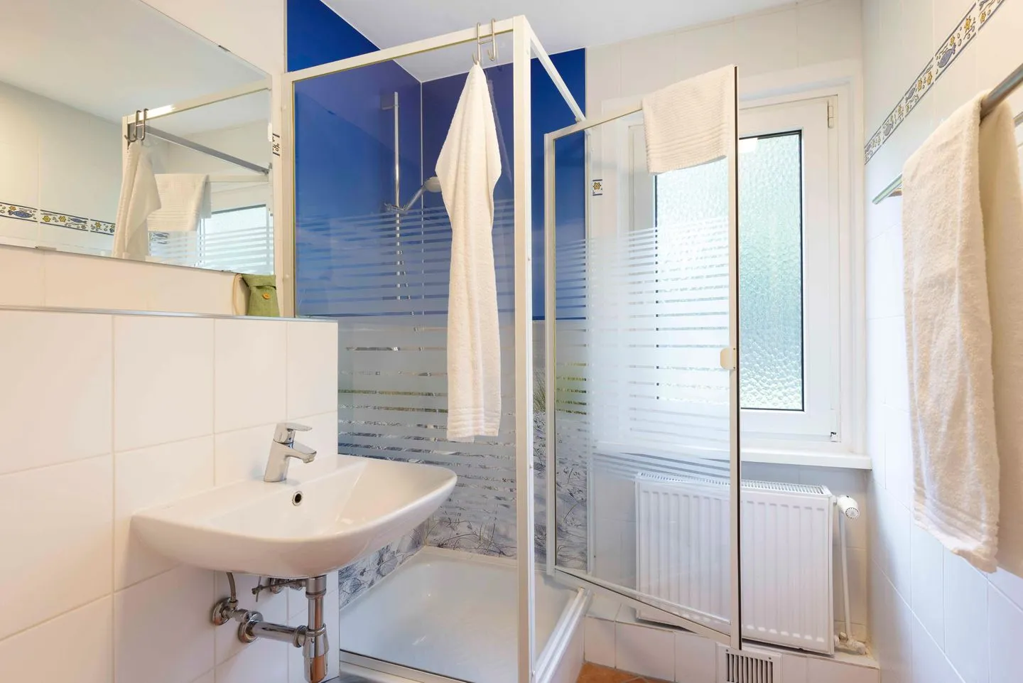 (BIR45) Ferienhaus Dat Hes-Hus Niendorf - Badezimmer