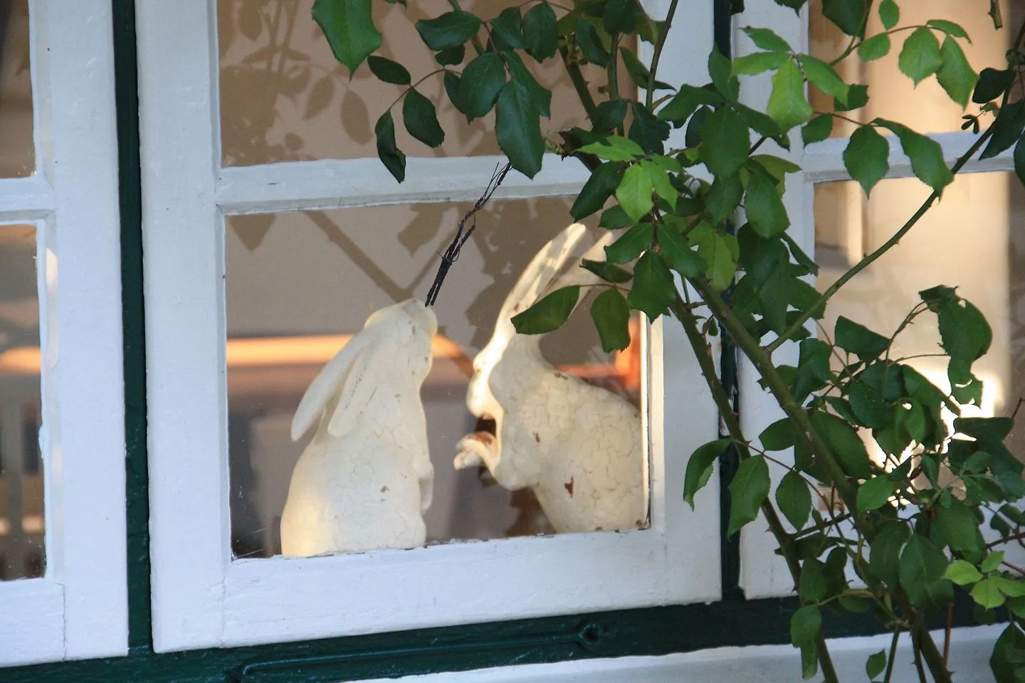 Friesenhaus Amrum Hommelkasche Süddorf auf Amrum - Friesenhaushälfte Hommelkasche in Süddorf auf der Nordseeinsel Amrum