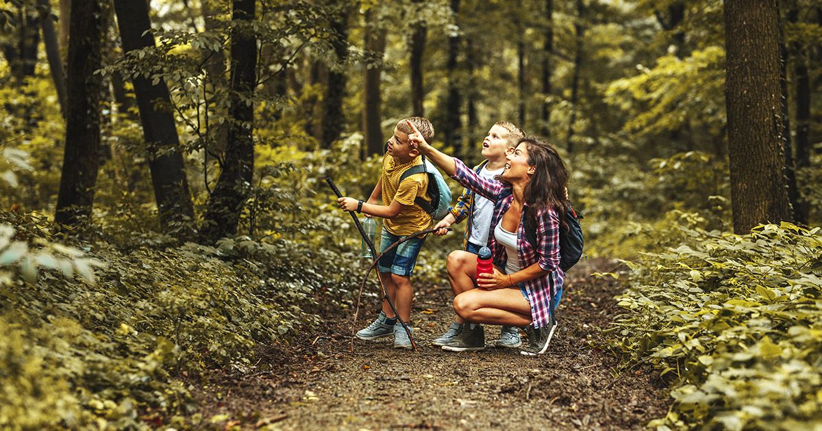 Mit Kindern im Müritz-Nationalpark