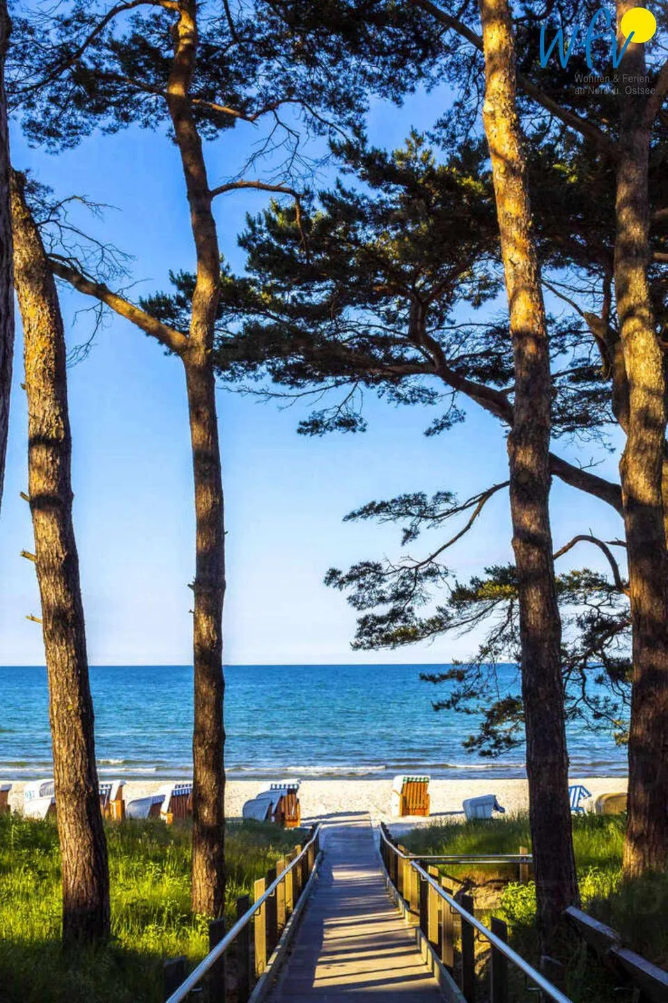 Dünenpark Binz Ferienwohnung 174 Rügen - Binz - Landschaft
