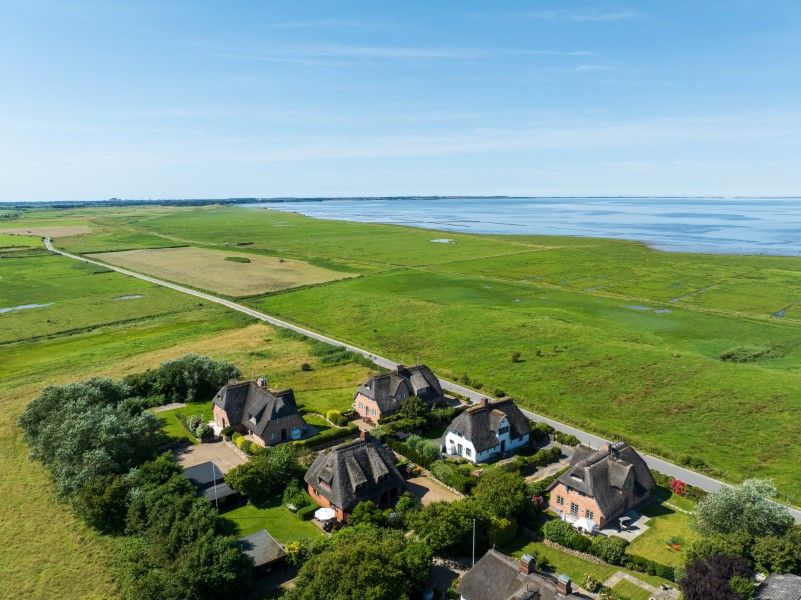  LITZKOW 12806 Morsum - 