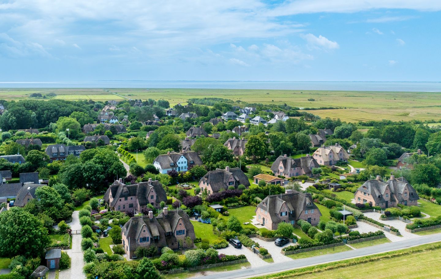  LITZKOW 16202 Archsum - 