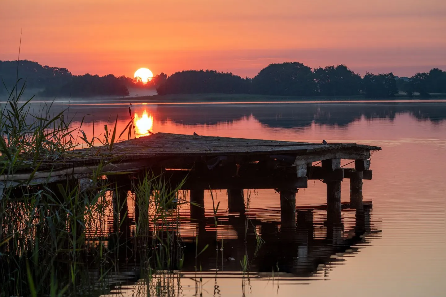  Atempause Krakow am See - Landschaft