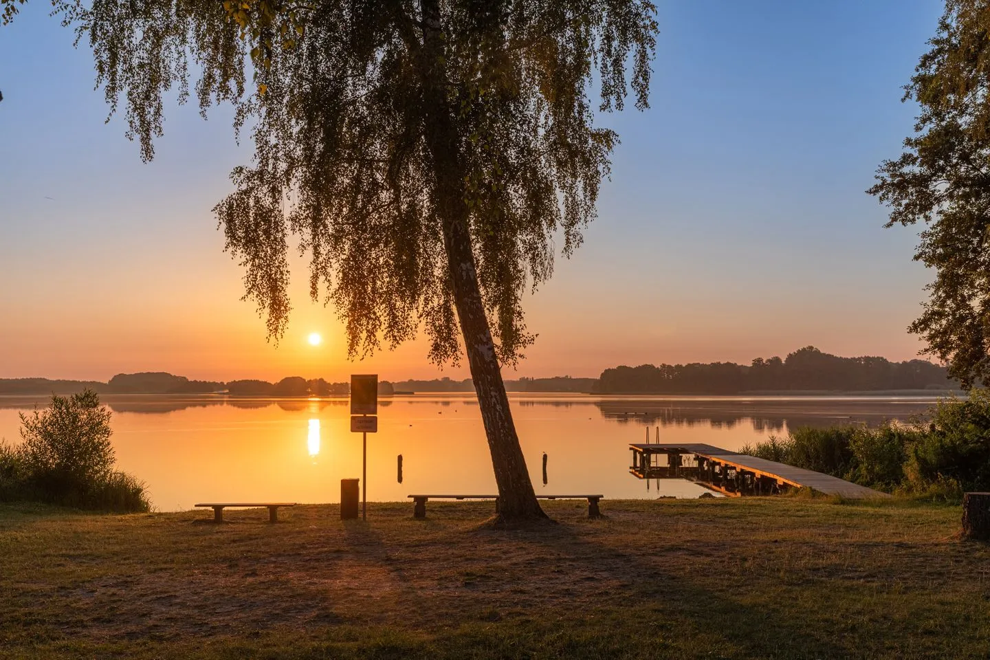  Lotusblume Krakow am See - Strand