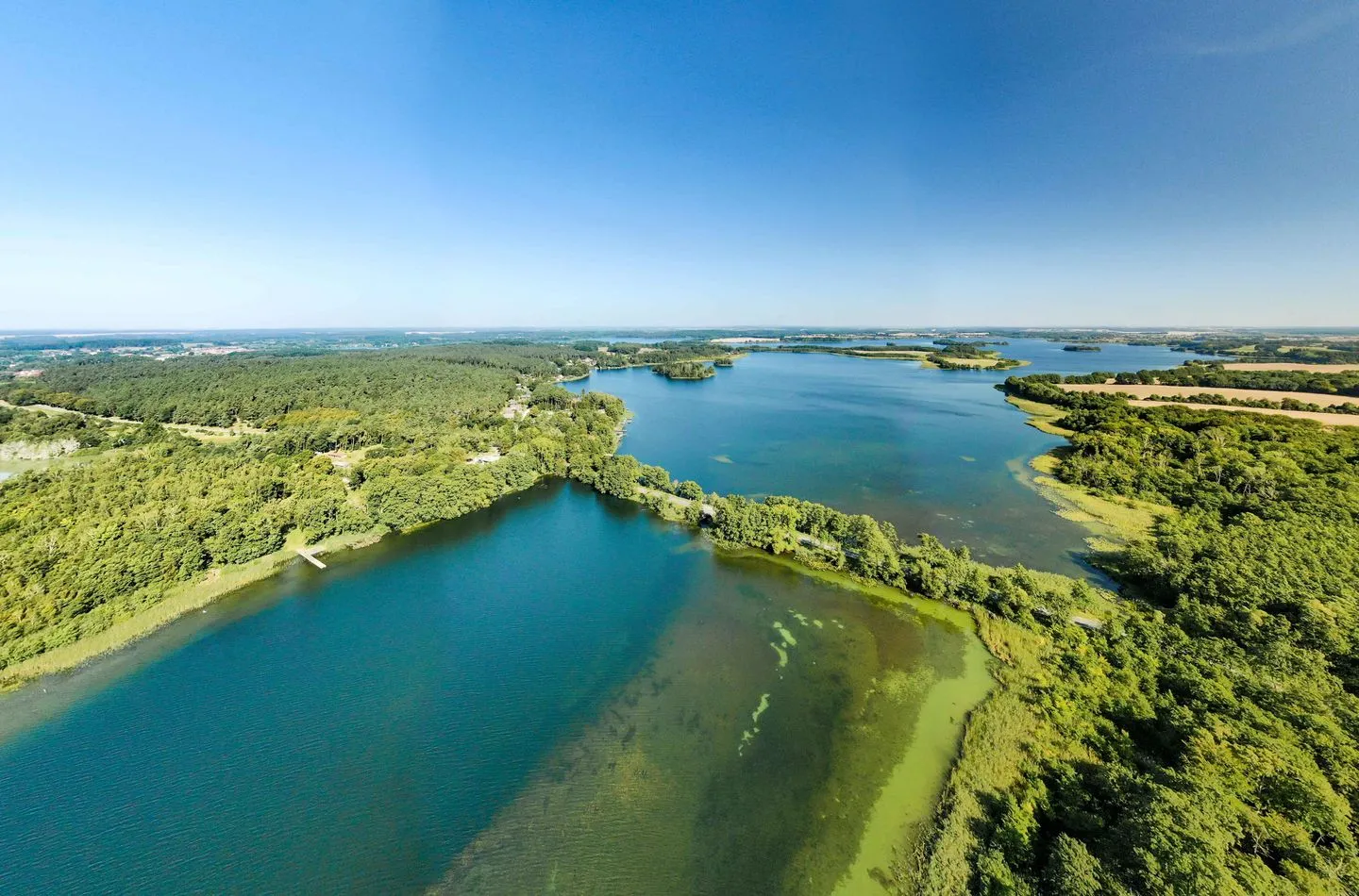  Lotusblume Krakow am See - Vogelperspektive