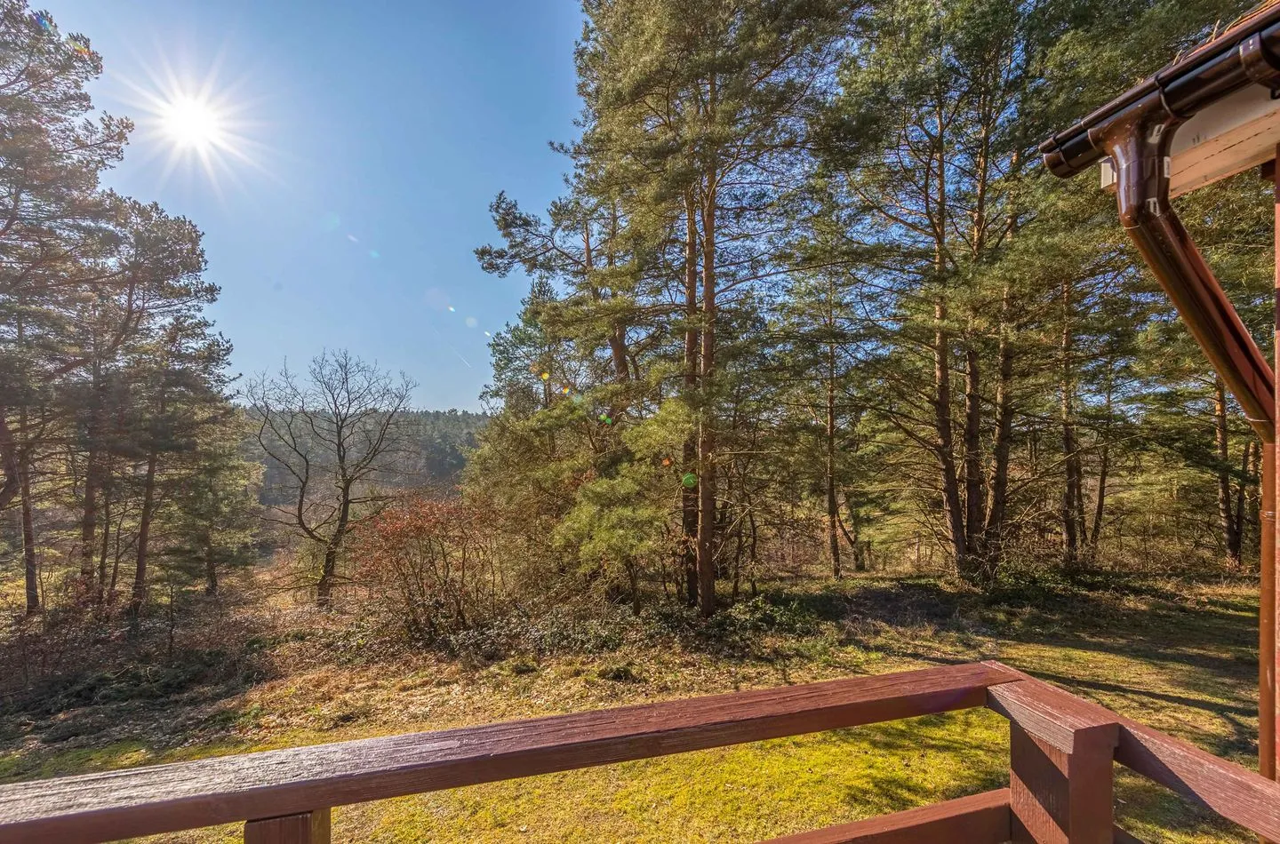  Waldblick Plauer See - Landschaft