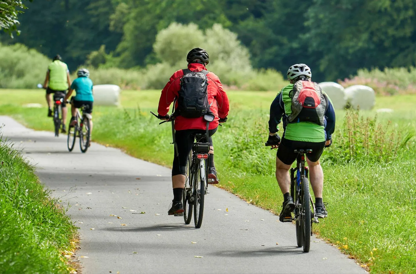  Waldblick Plauer See - Sport / Aktivitäten