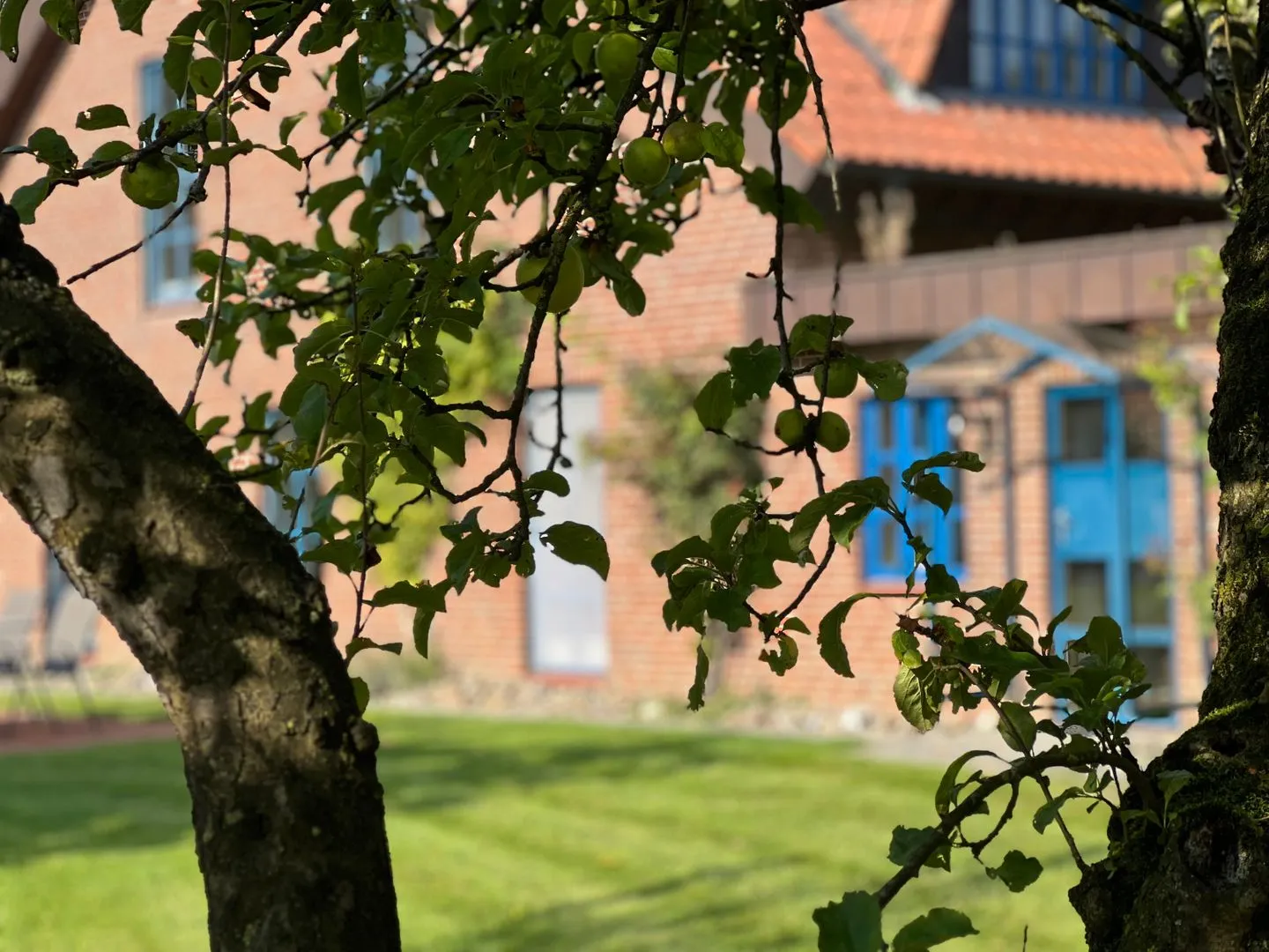 Ferienwohnung Vidja - Ferien auf dem Islandpferdehof für bis zu 4 Personen Osterbyholz - Fassade / Eingang
