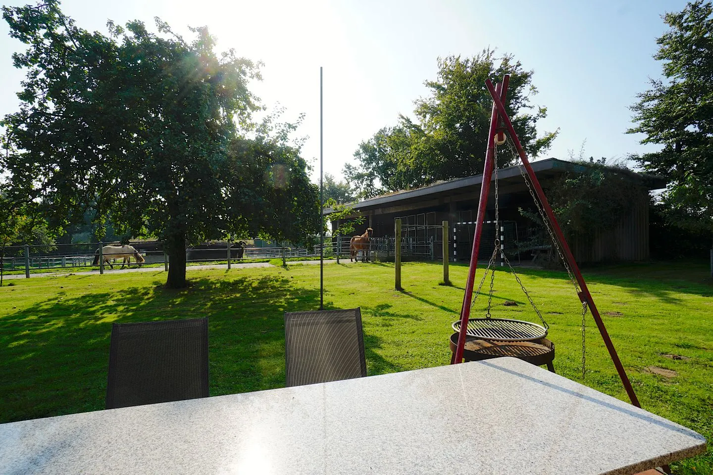 Ferienwohnung Vidja - Ferien auf dem Islandpferdehof für bis zu 4 Personen Osterbyholz - Terrasse