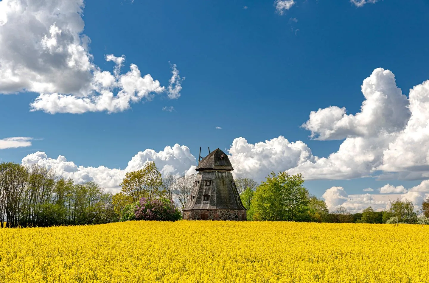  Hafensegler Röbel / Müritz - Landschaft