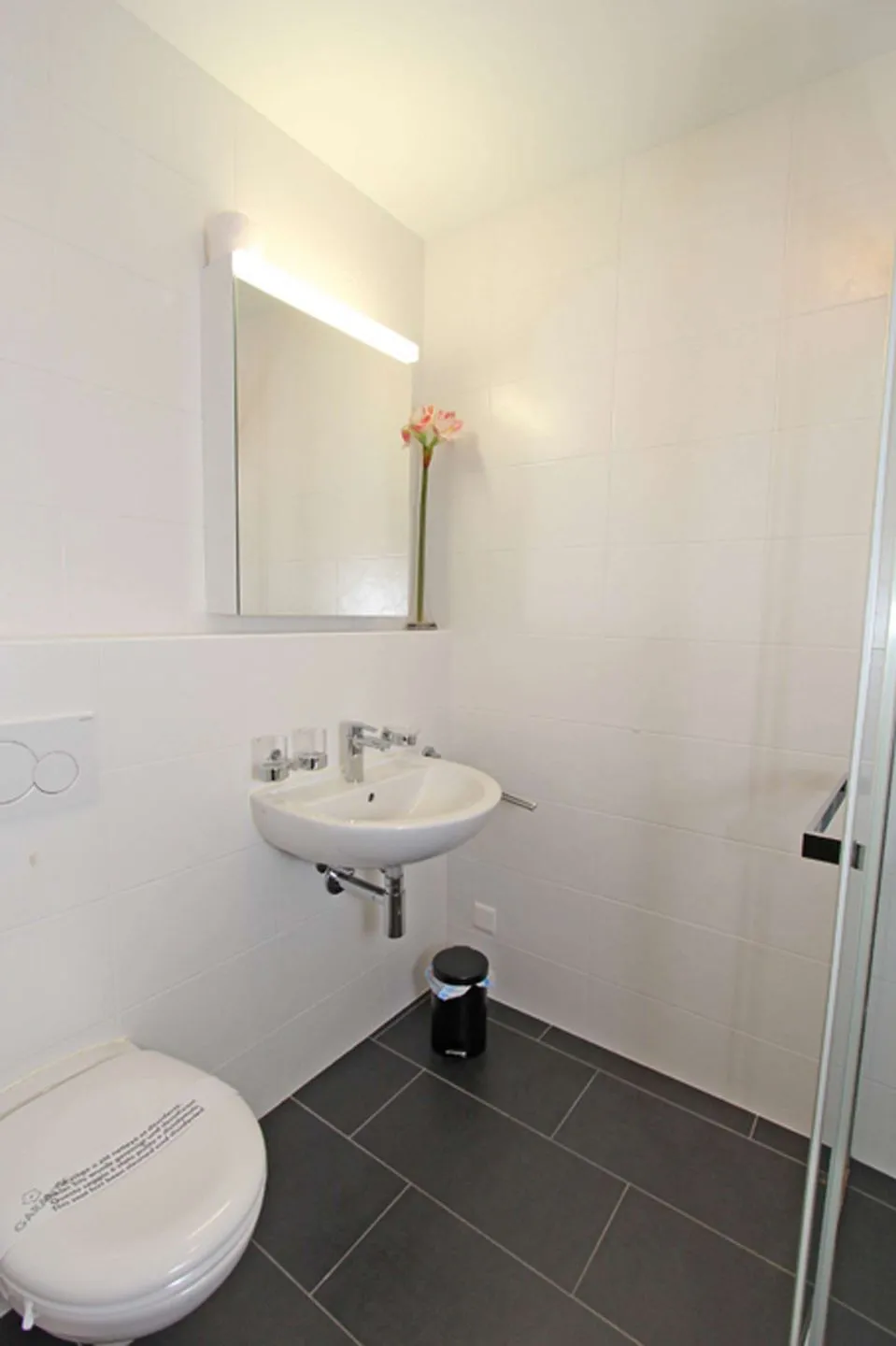 Casa ai Faggi, 3-Zimmerwohnung, 3.Stock Locarno -