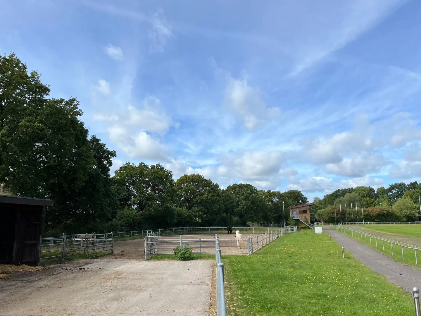 Ferien auf dem Islandpferdehof - Ferienhaus Gandur für bis zu 7 Personen Osterbyholz - Sport / Aktivitäten