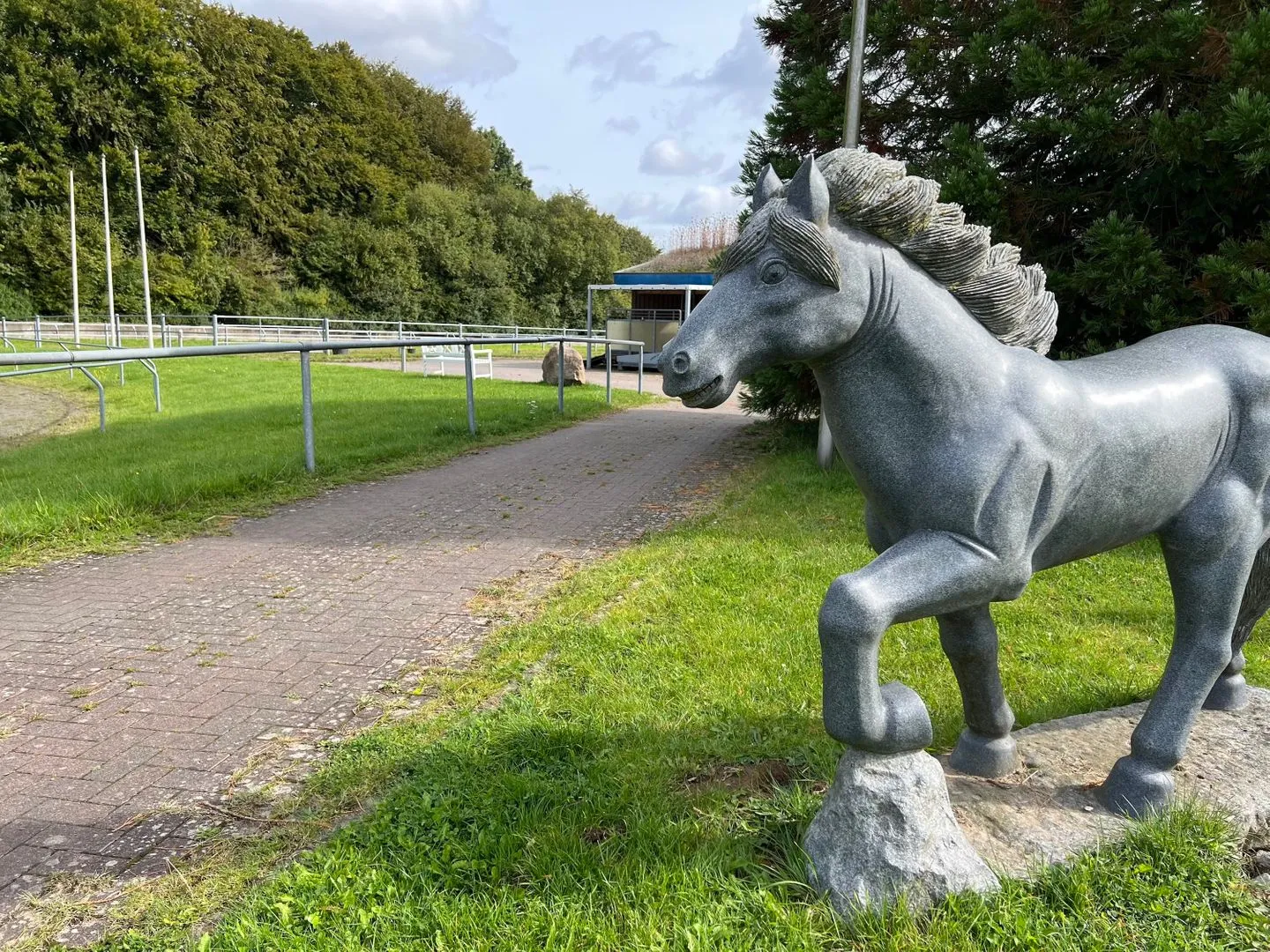 Ferien auf dem Islandpferdehof - Ferienhaus Gandur für bis zu 7 Personen Osterbyholz - Dekoratives Detail