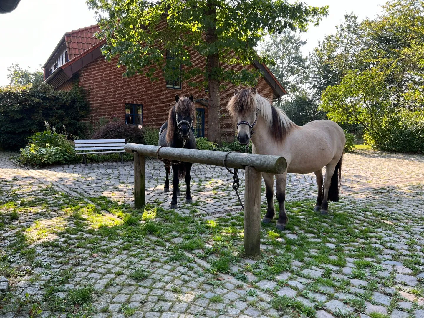 Ferien auf dem Islandpferdehof - Ferienhaus Gandur für bis zu 7 Personen Osterbyholz - Landschaft