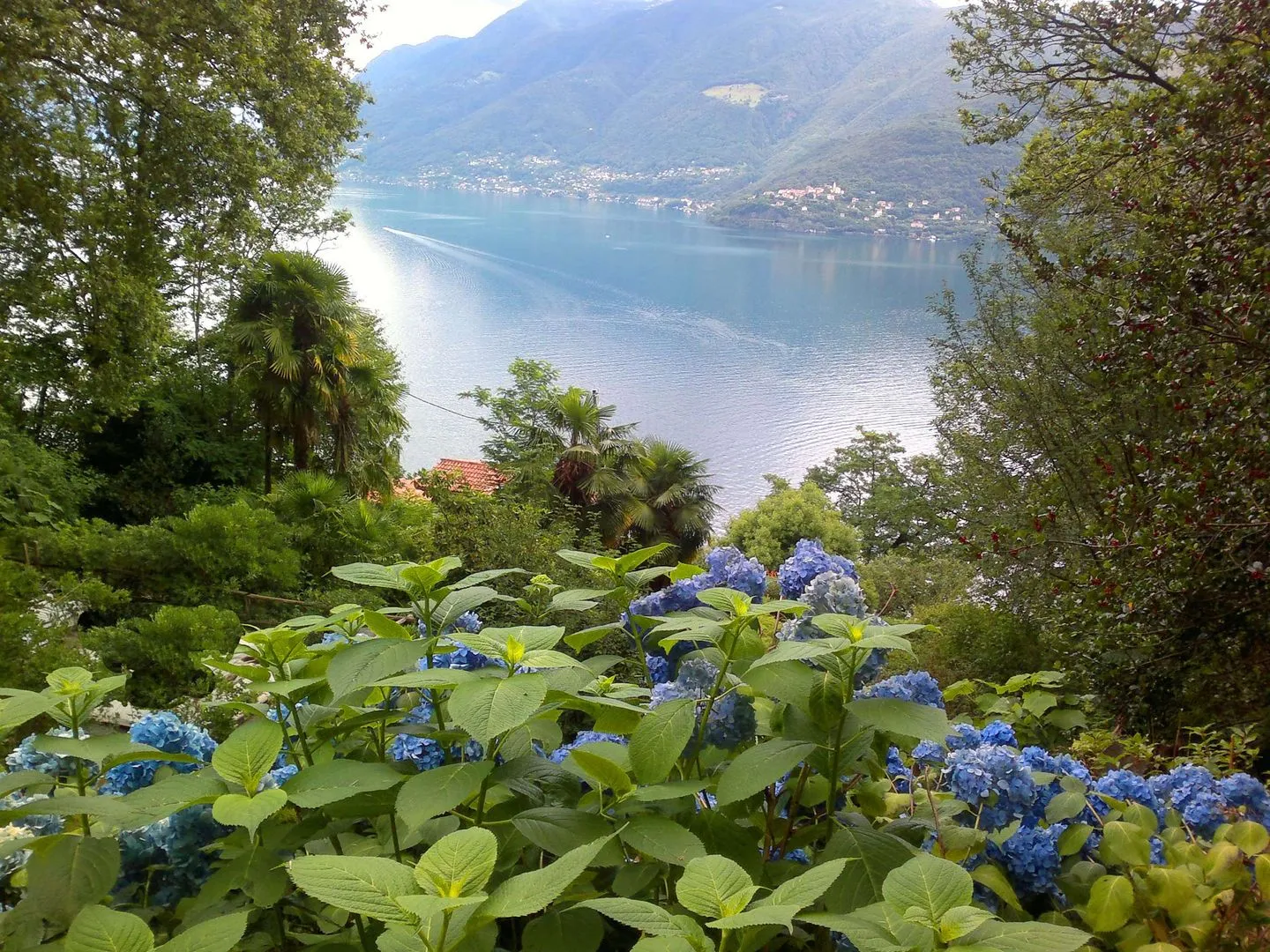 Rustico Marietta Locarno -