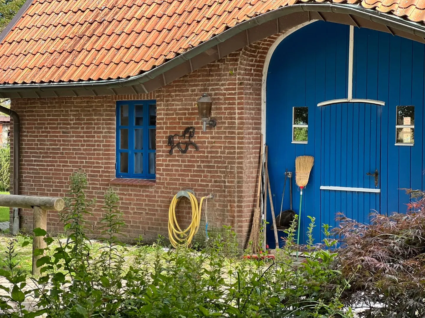 Ferienwohnung Vidja - Ferien auf dem Islandpferdehof für bis zu 4 Personen Osterbyholz - Nachbarschaft
