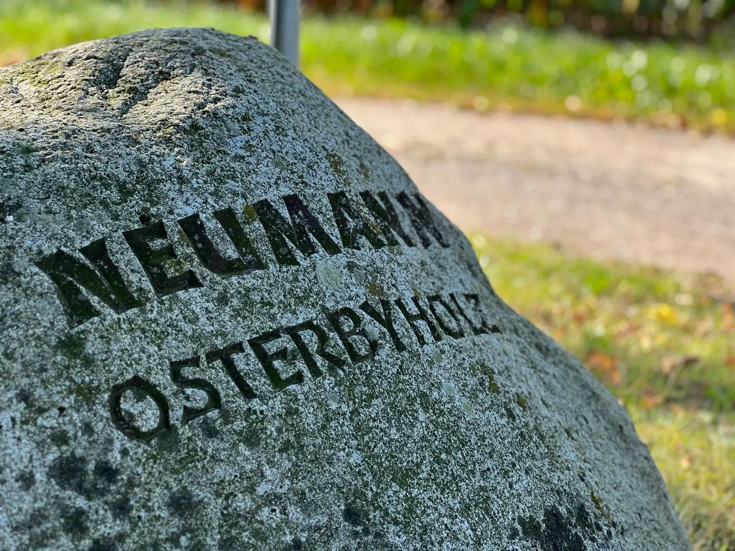 Ferienwohnung Vidja - Ferien auf dem Islandpferdehof für bis zu 4 Personen Osterbyholz - Dekoratives Detail