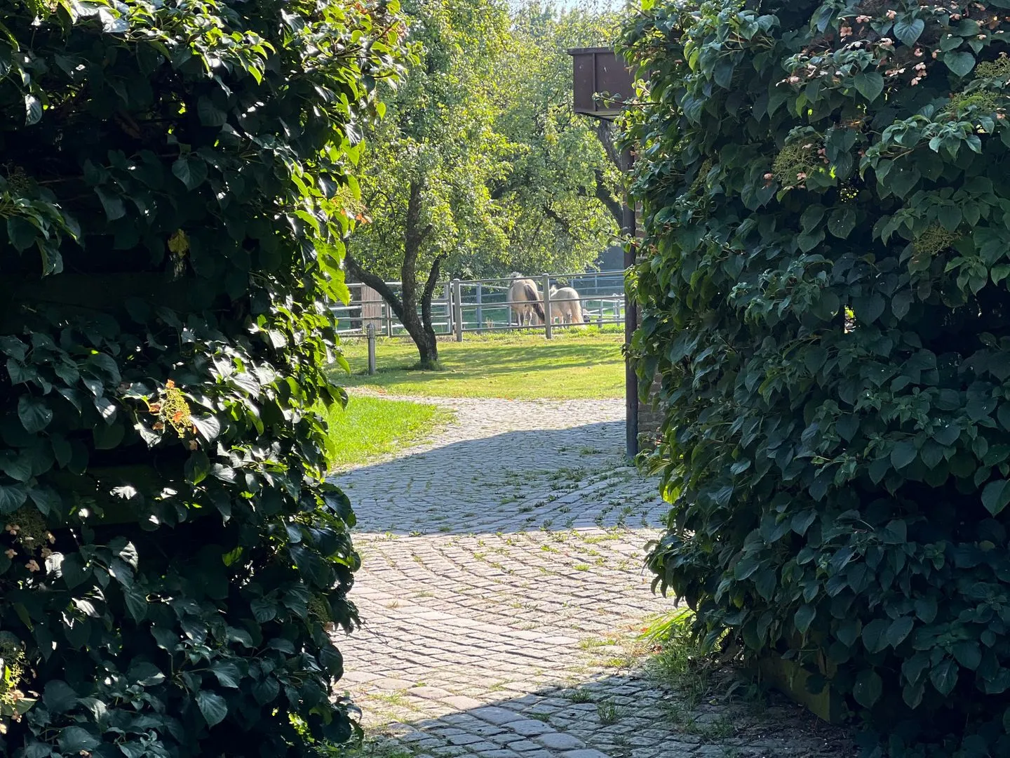 Ferienwohnung Vidja - Ferien auf dem Islandpferdehof für bis zu 4 Personen Osterbyholz - Gartenblick