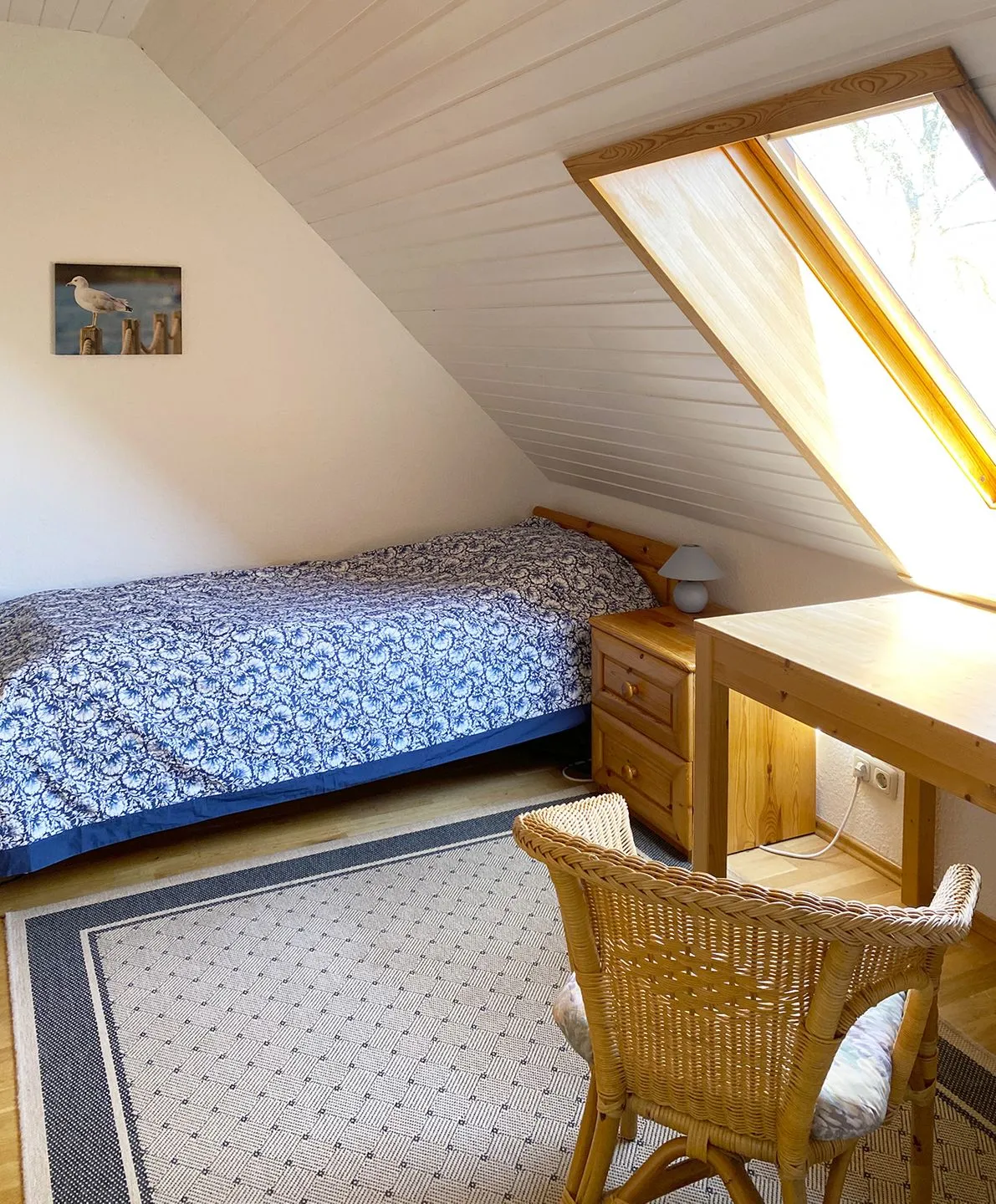 Ferienhaus Georg Ostseebad Prerow -
