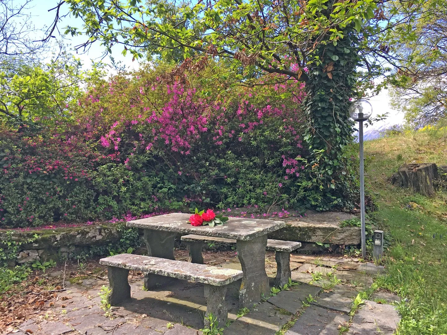 La Monda Cantik Locarno -