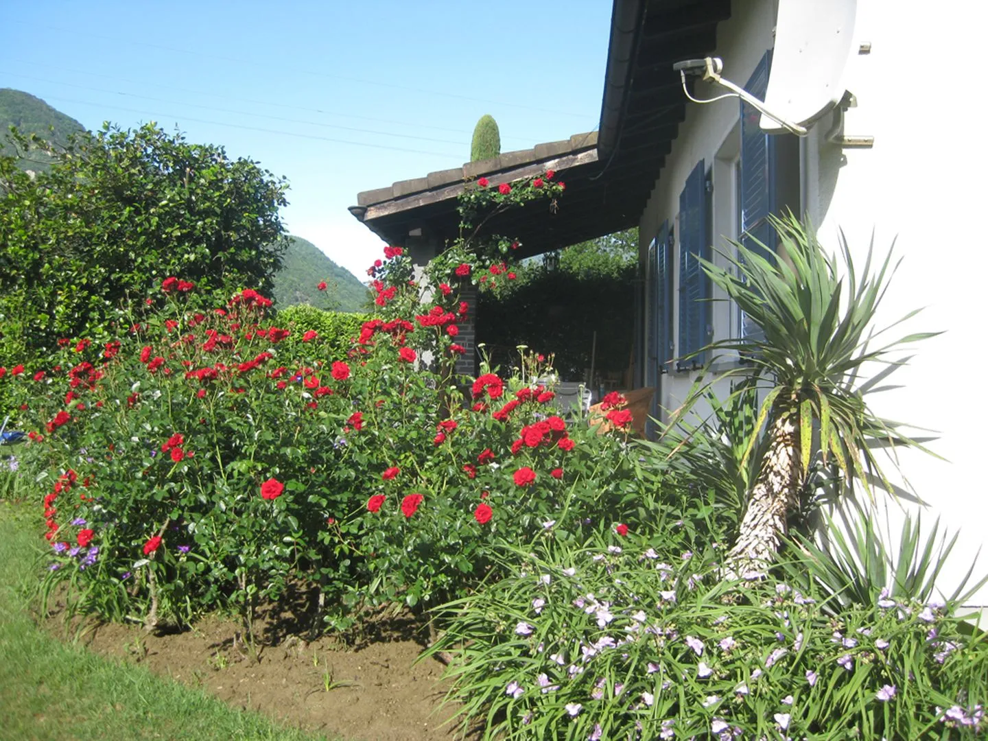 Casa Monica Locarno -