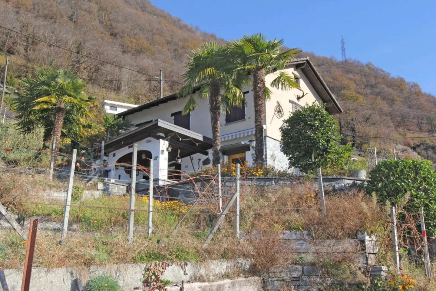 Casa Ai Vigneti Locarno -