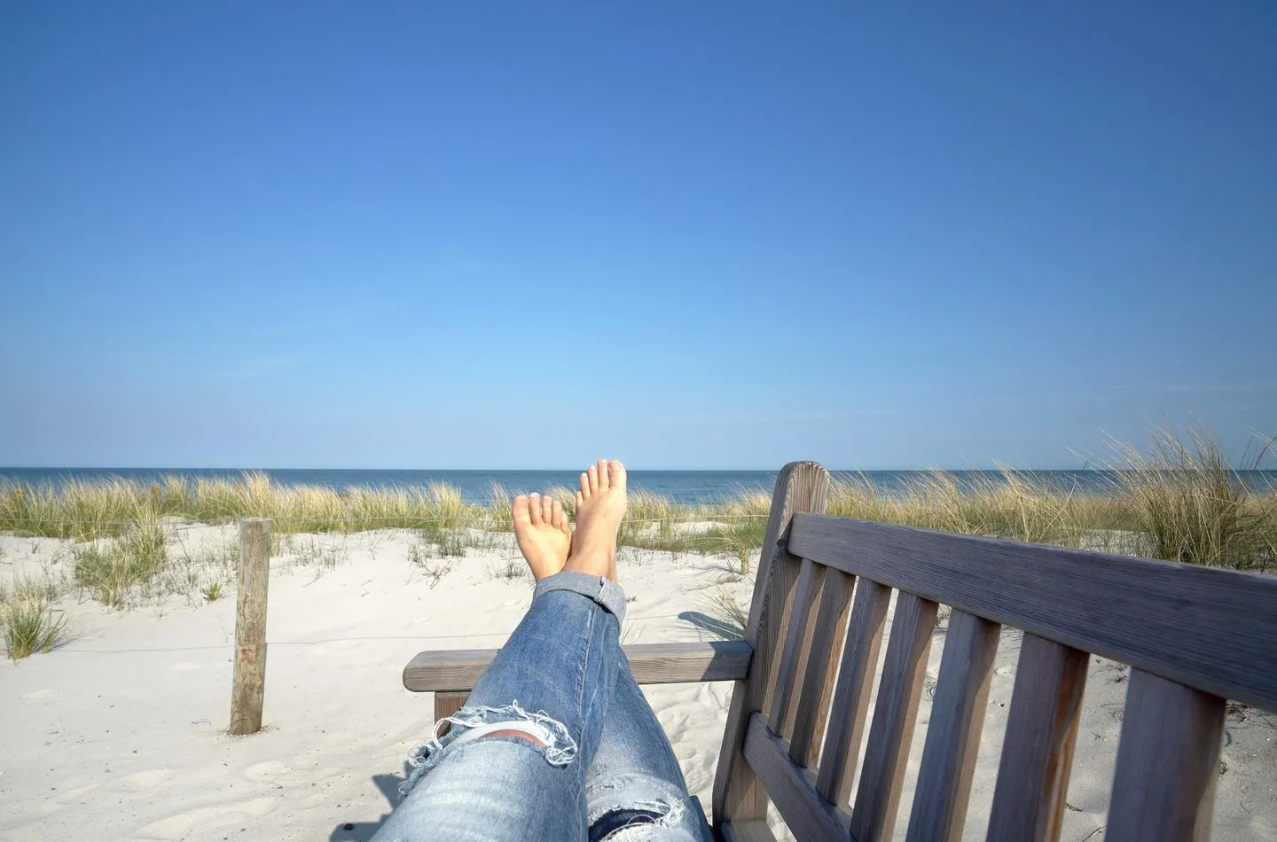  Ostseemöwe Wustrow - Strand