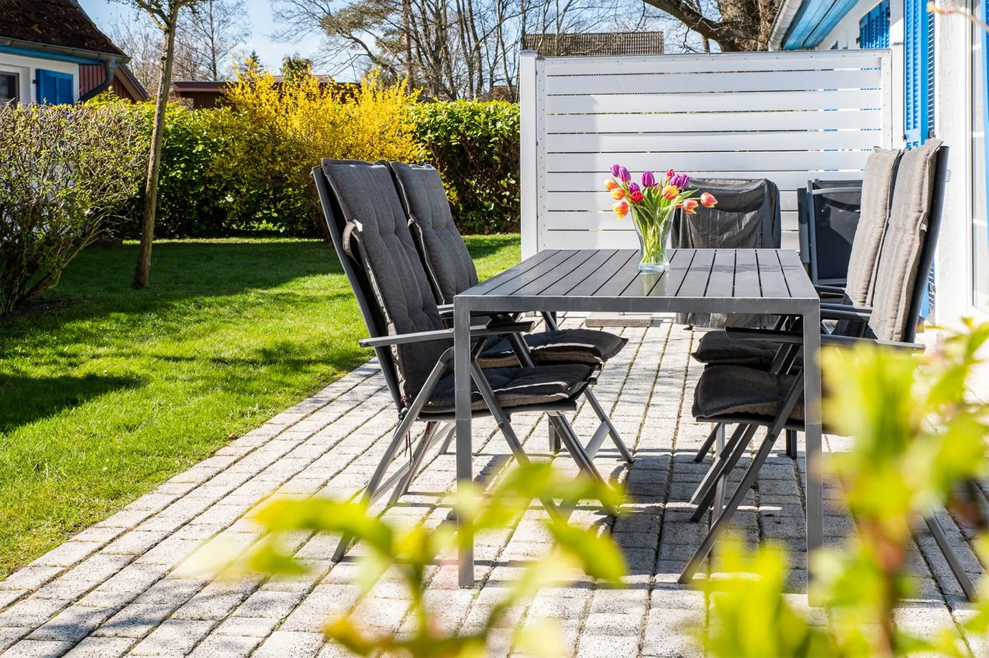 Mühlenpark 1 Mühlenpark Haus 5 Wo 17 Ostseebad Prerow -