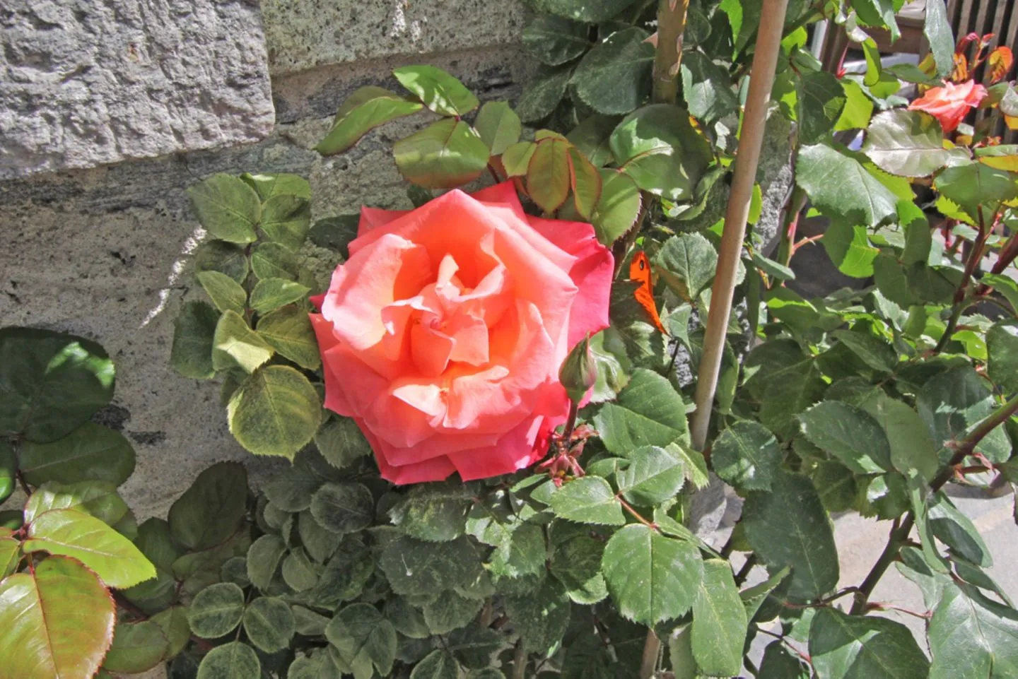 Casa San Sebastiano, 4,5-Zimmerhaus Locarno -