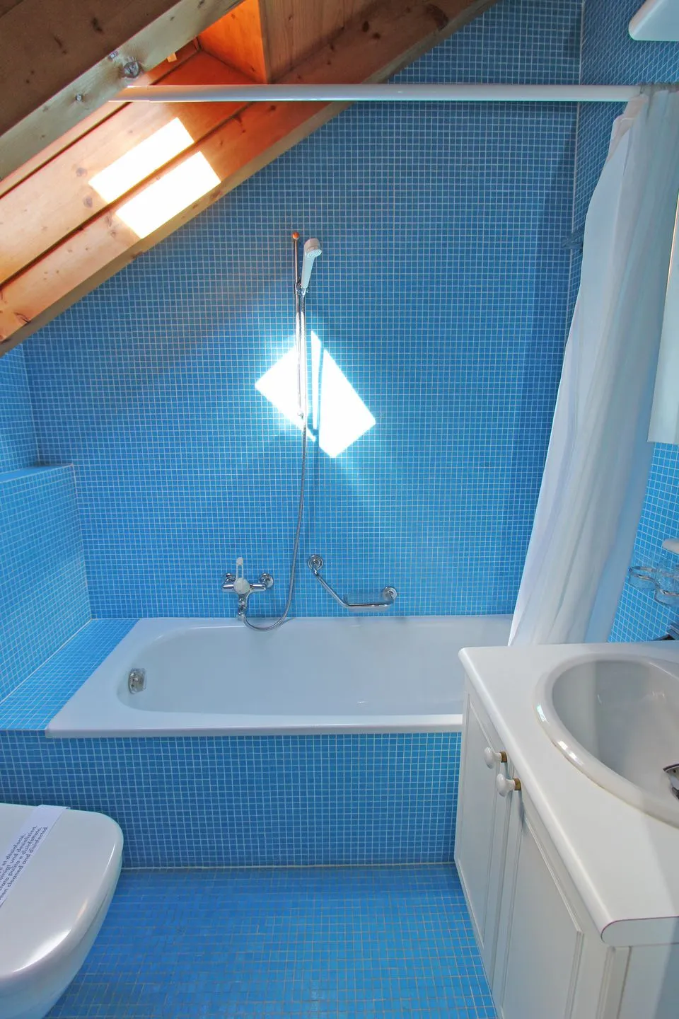 Rustico Camelia Locarno -