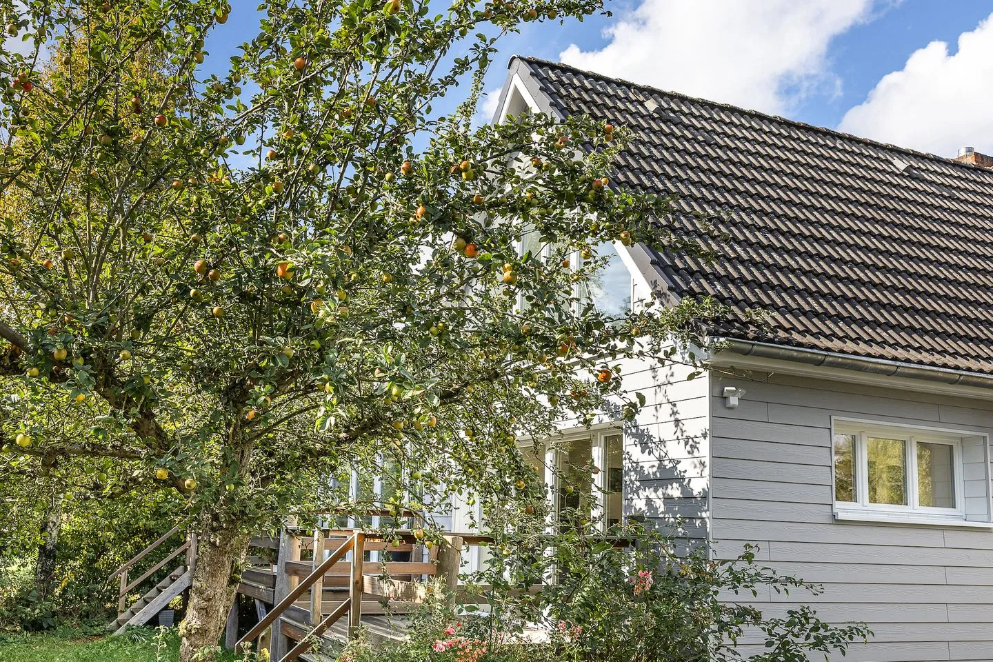 Haffperle - Strandgold - moderne Ferienwohnung in Strandnähe Haffkrug - Fassade / Eingang