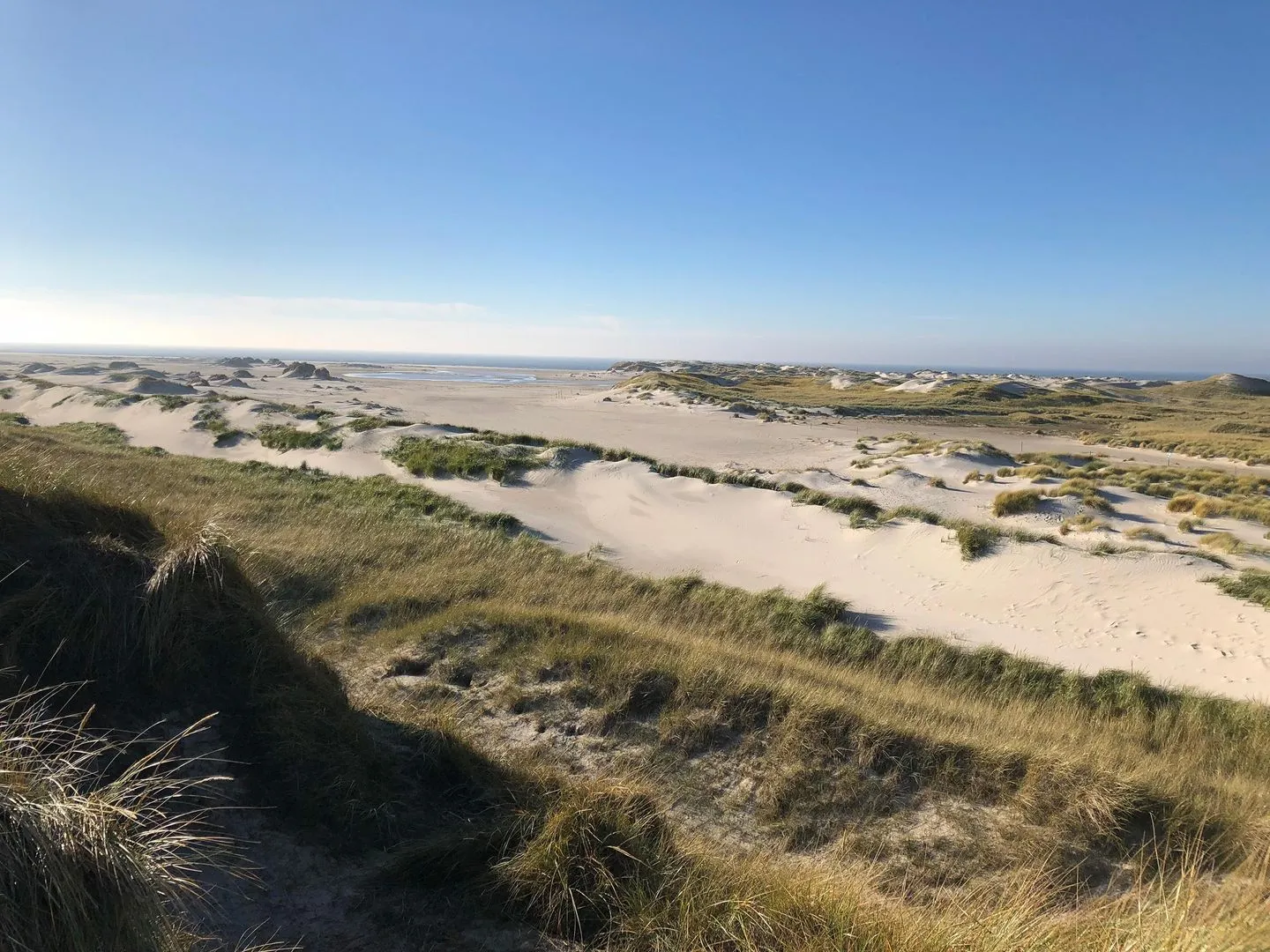 Ferienhaus *Wattprinzessin* Nebel auf Amrum -