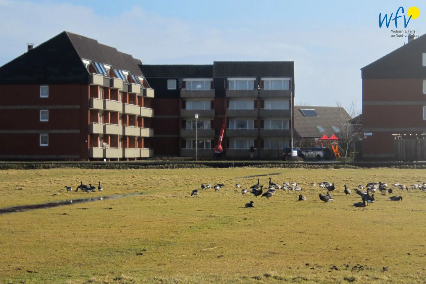 Holiday Residenz II Ferienwohnung Toornkieker Borkum - Hauptansicht