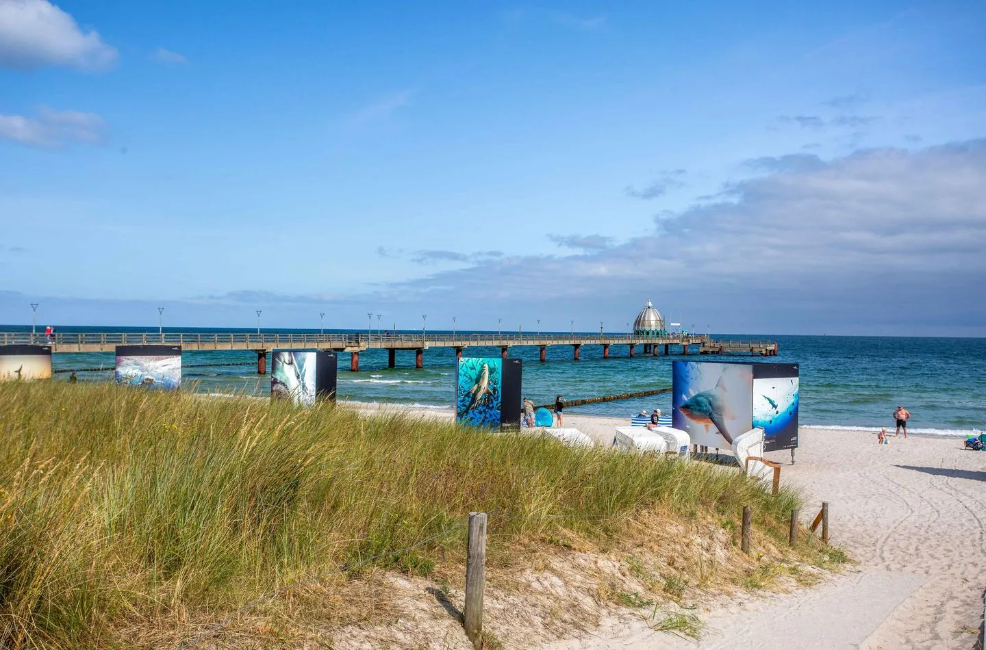  Meereswoge Zingst Zingst - Strand