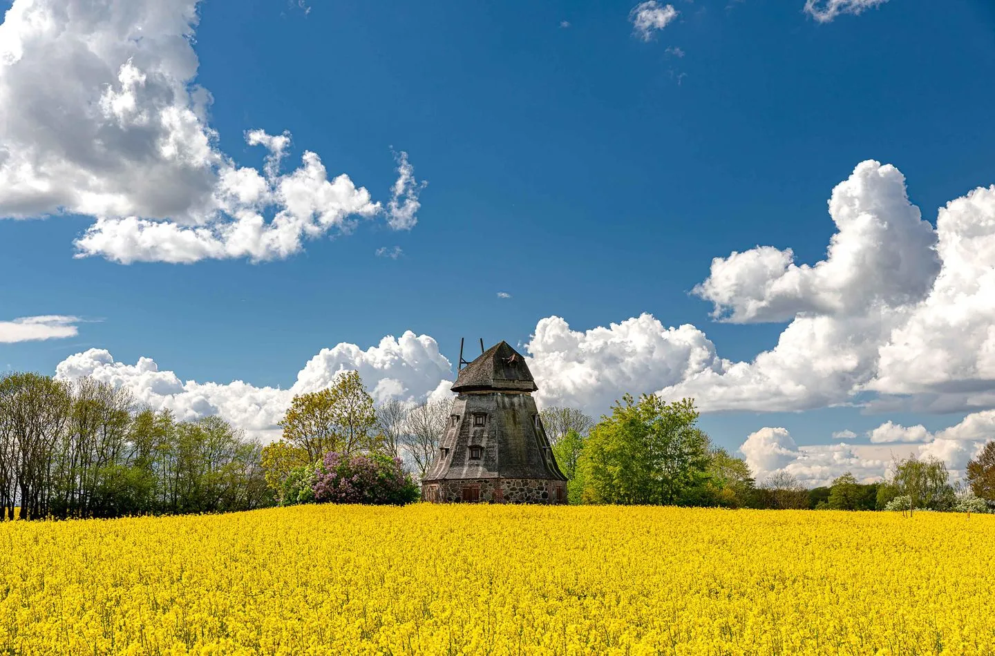  Merlin Nest Röbel / Müritz - Nachbarschaft