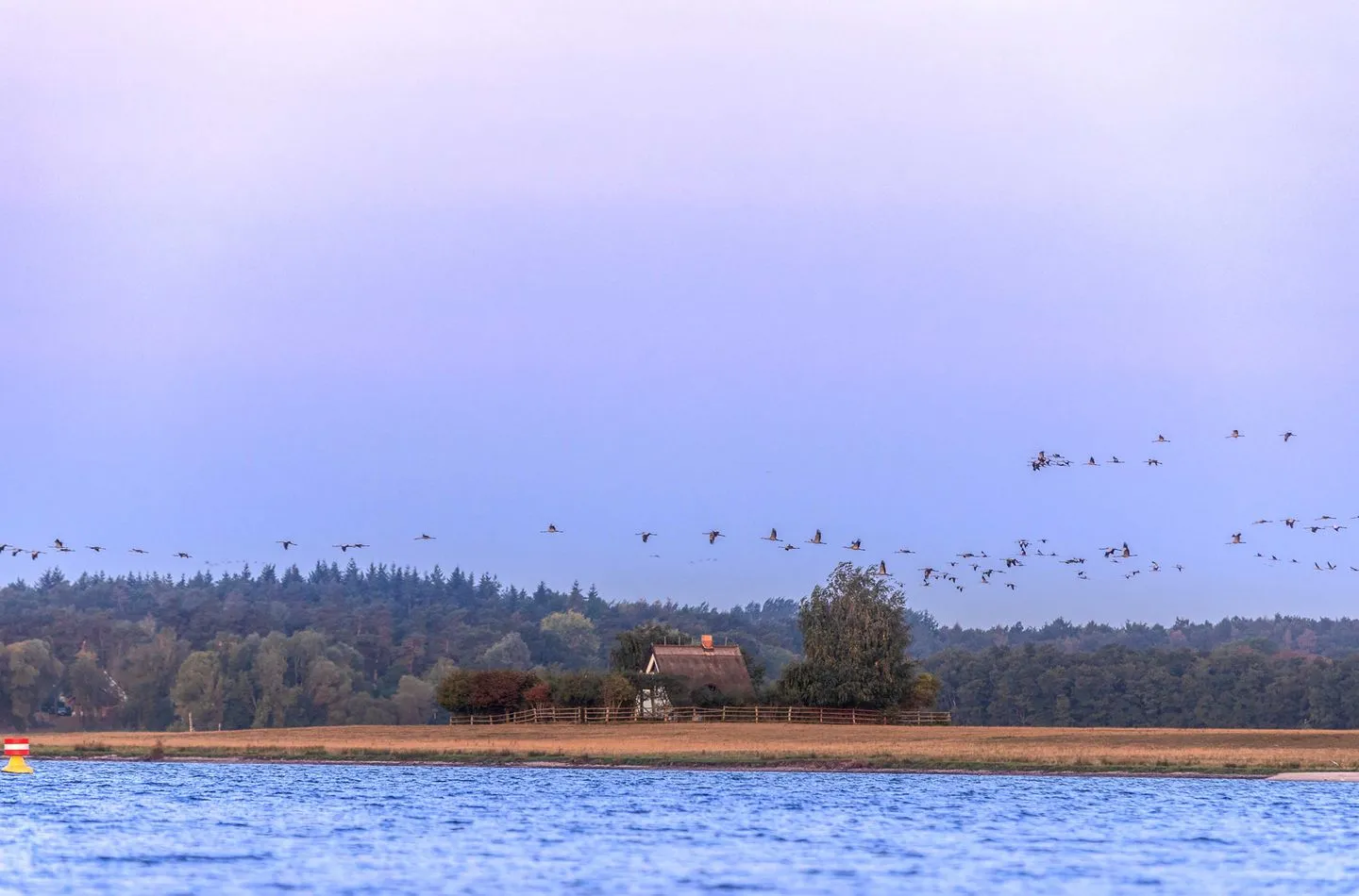  Graureiher Jabel - Landschaft