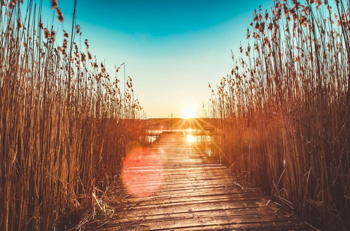  Seeidyll Waren (Müritz) - Landschaft