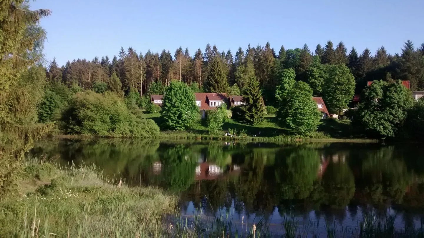 Fewo Am Wald 5 Hahnenklee -