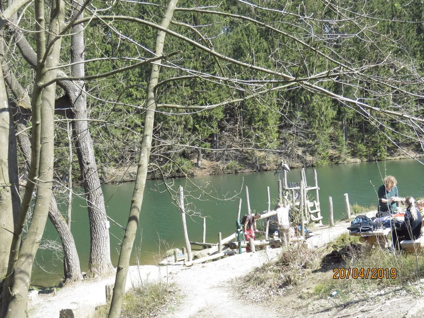 Fewo Am Wald 5 Hahnenklee -