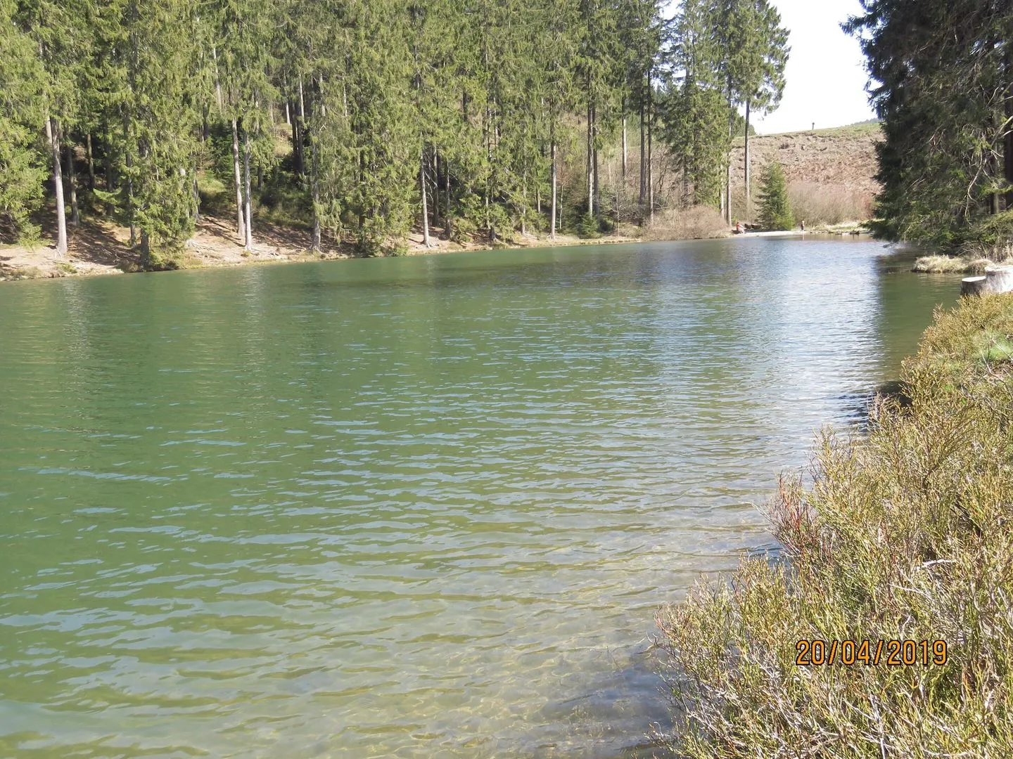 Fewo Am Wald 5 Hahnenklee -