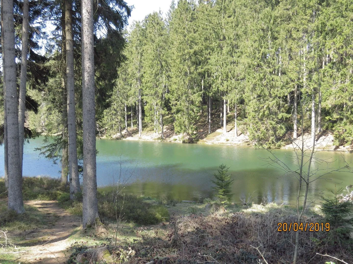 Fewo Am Wald 5 Hahnenklee -
