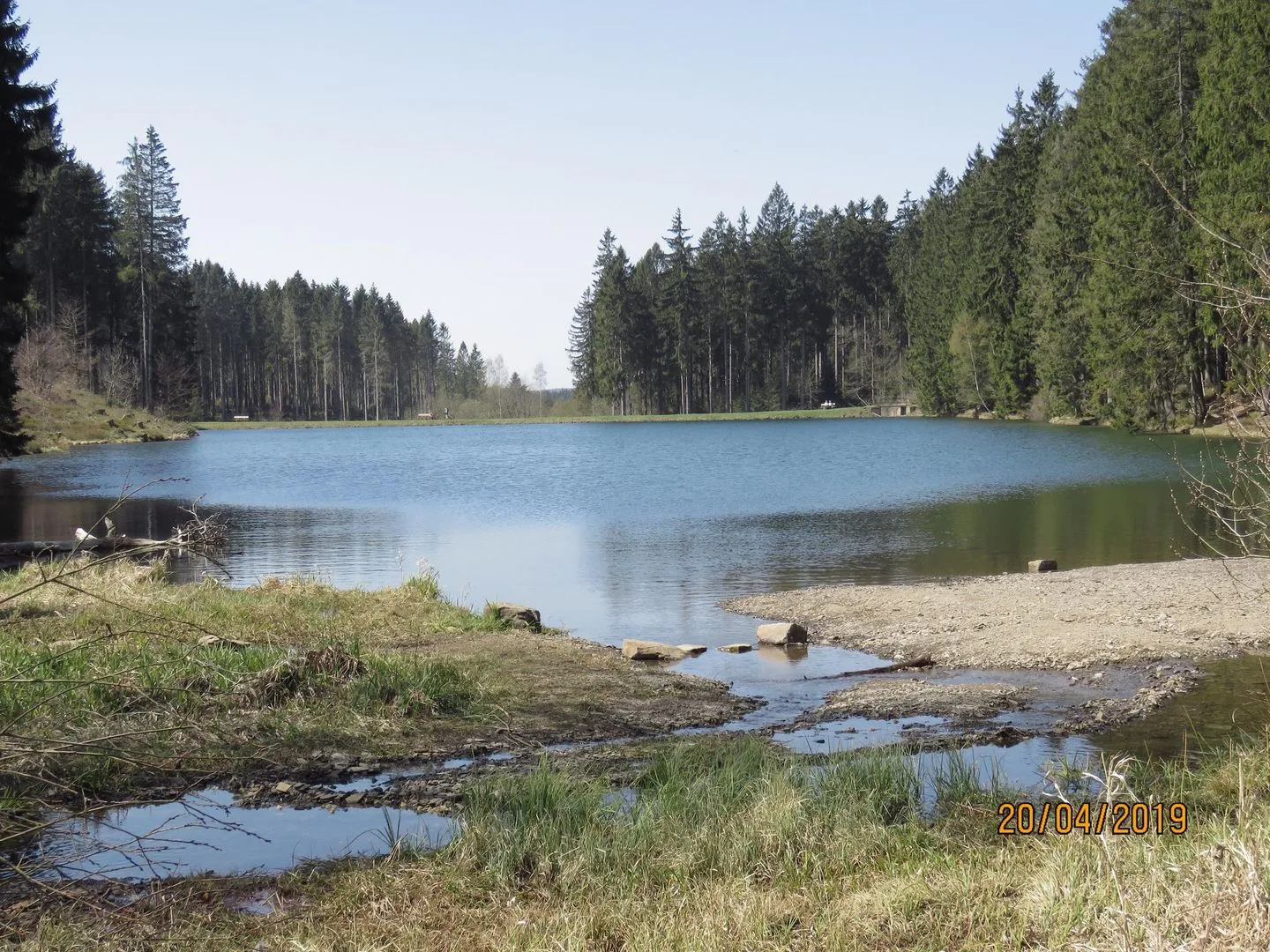Fewo Am Wald 5 Hahnenklee -