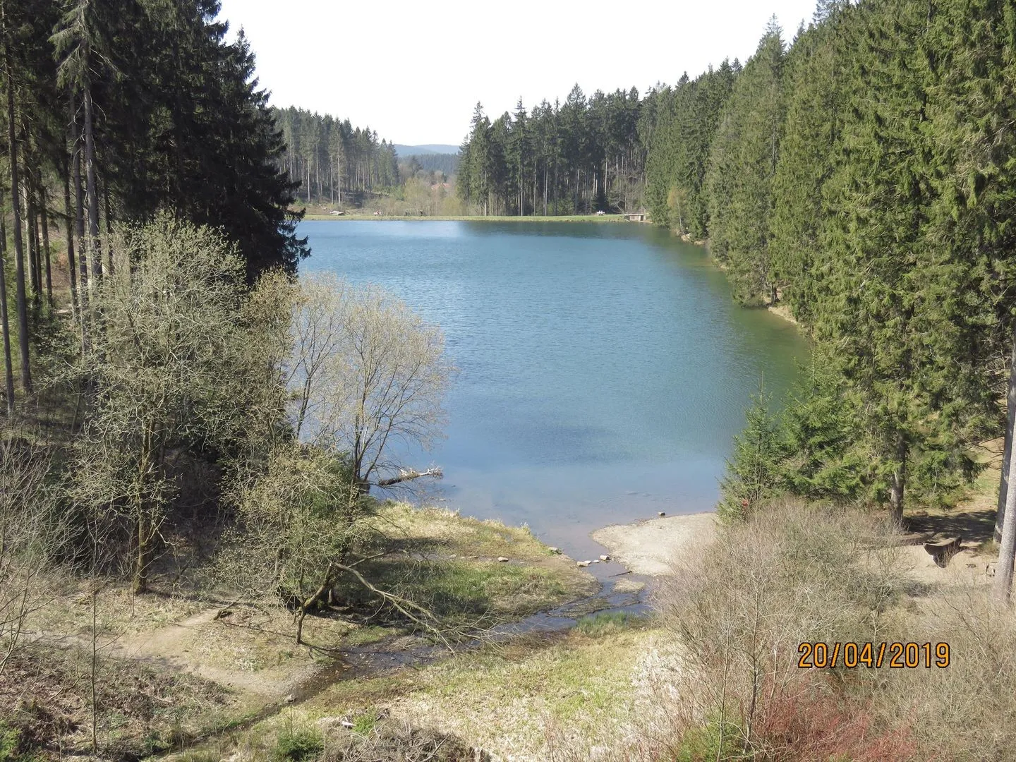 Fewo Am Wald 5 Hahnenklee -