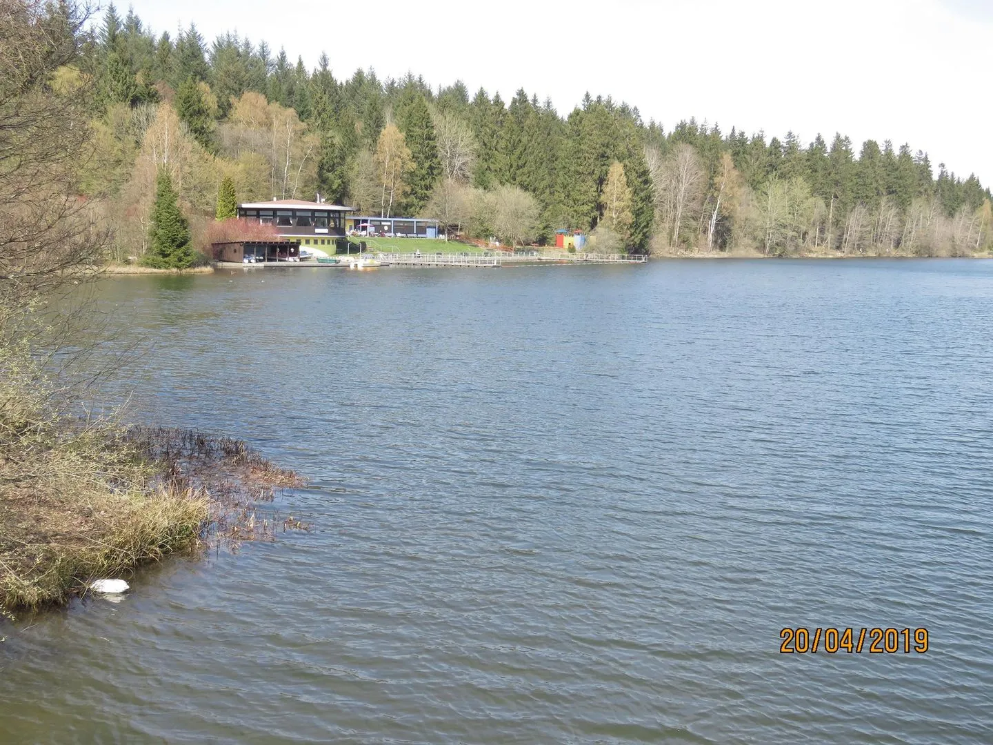 Fewo Am Wald 5 Hahnenklee -