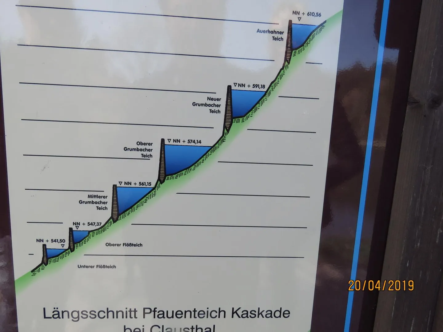 Fewo Am Wald 5 Hahnenklee -