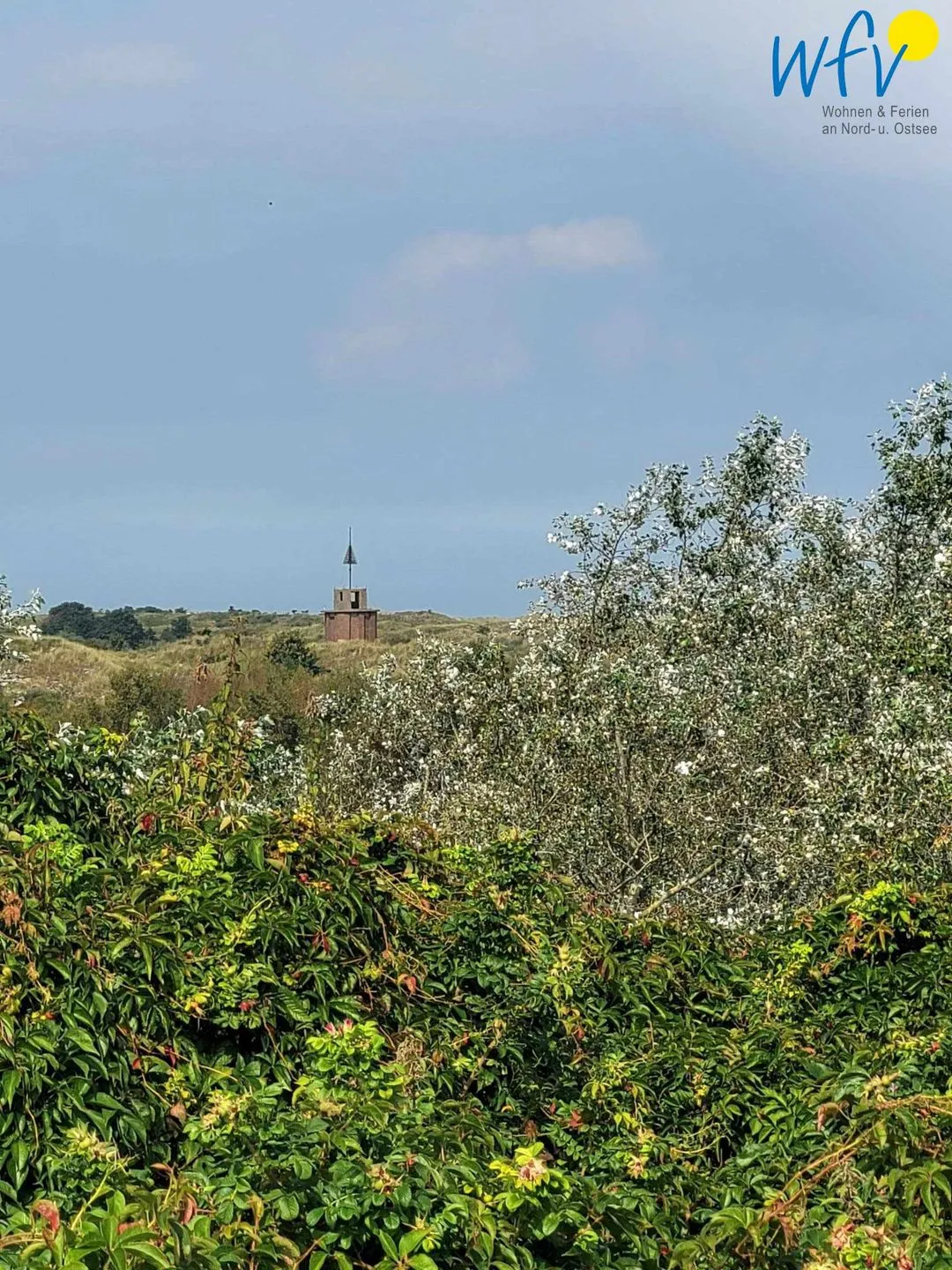 Holiday Residenz II Ferienwohnung Nordseeliebe Borkum -
