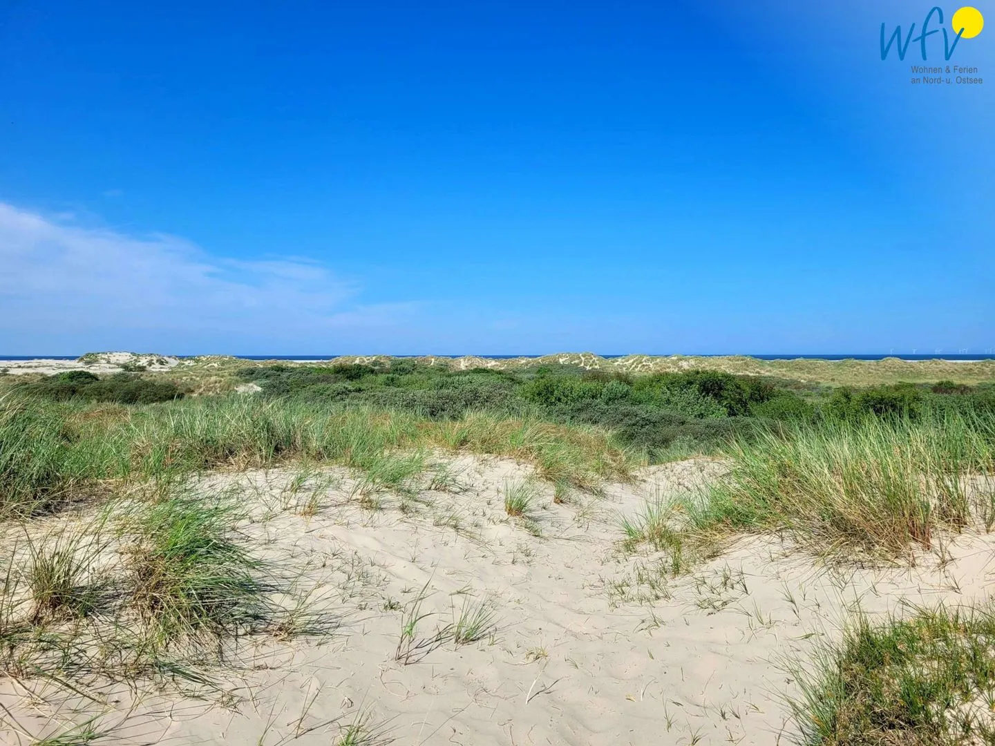 Holiday Residenz II Ferienwohnung Nordseeliebe Borkum -